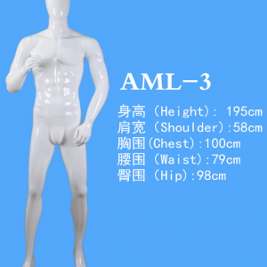 模特
