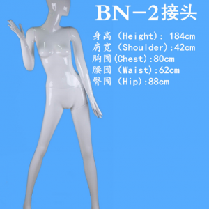 模特