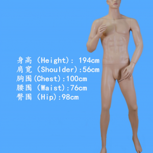 模特