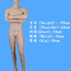 模特