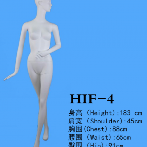模特