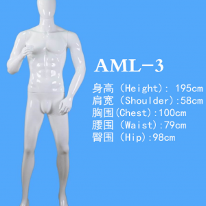 模特