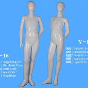 模特
