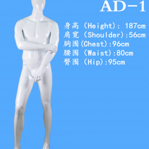 模特