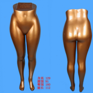 模特