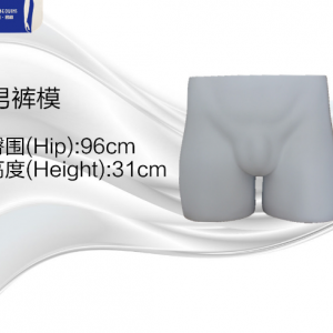 模特