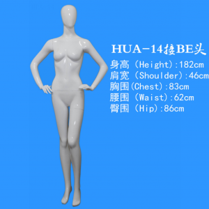 模特