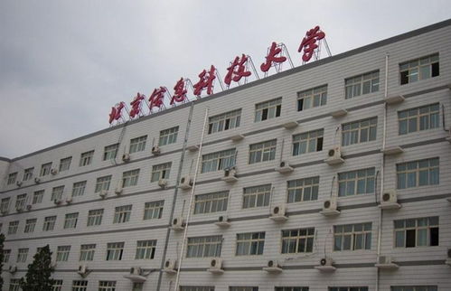 青春奉獻，科技賦能——記北京信息科技大學青年志愿者協(xié)會的信息技術咨詢志愿服務